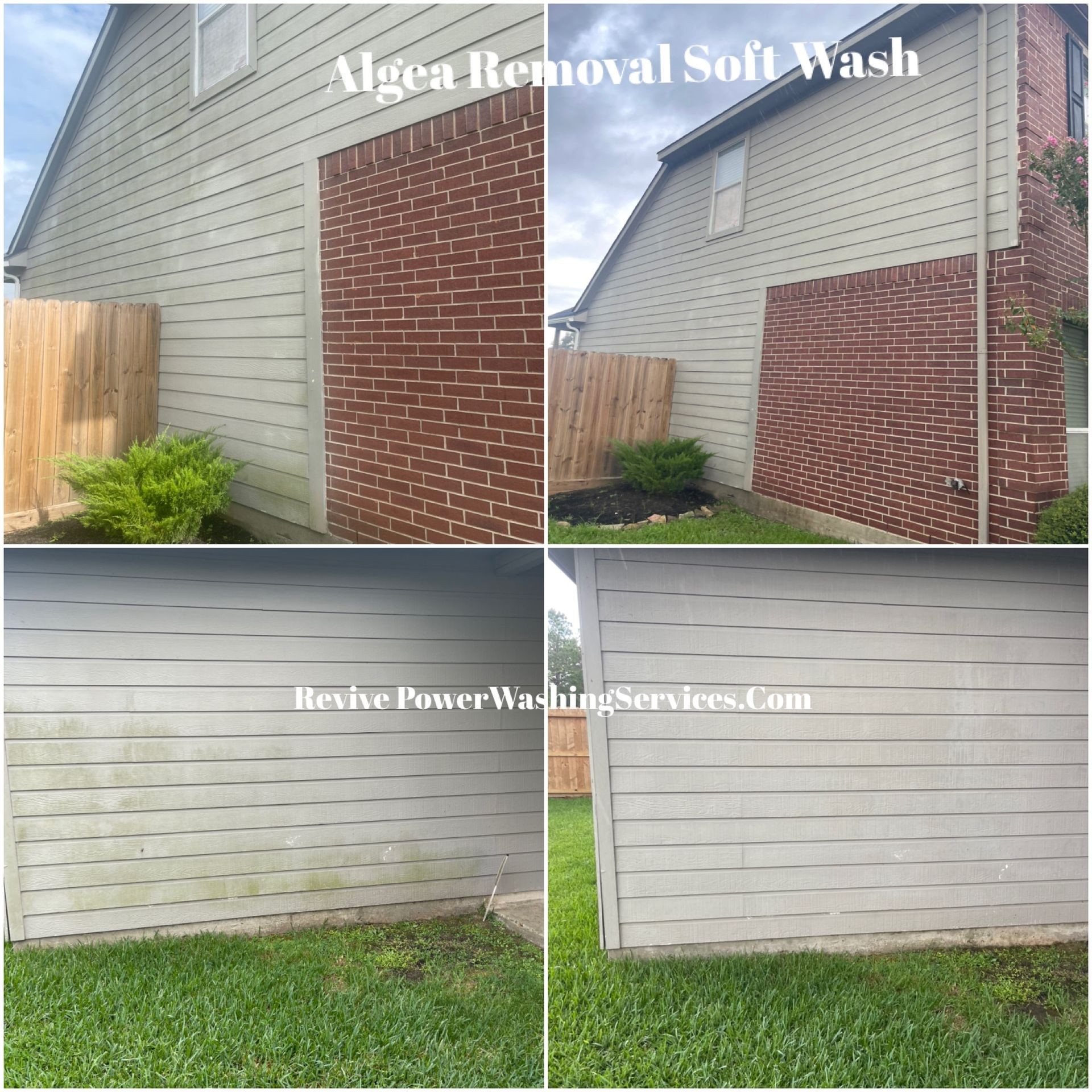 Side-by-side comparison of house siding before and after soft wash algae removal, showing cleaner results.